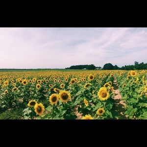 Meet your Posher, Alex